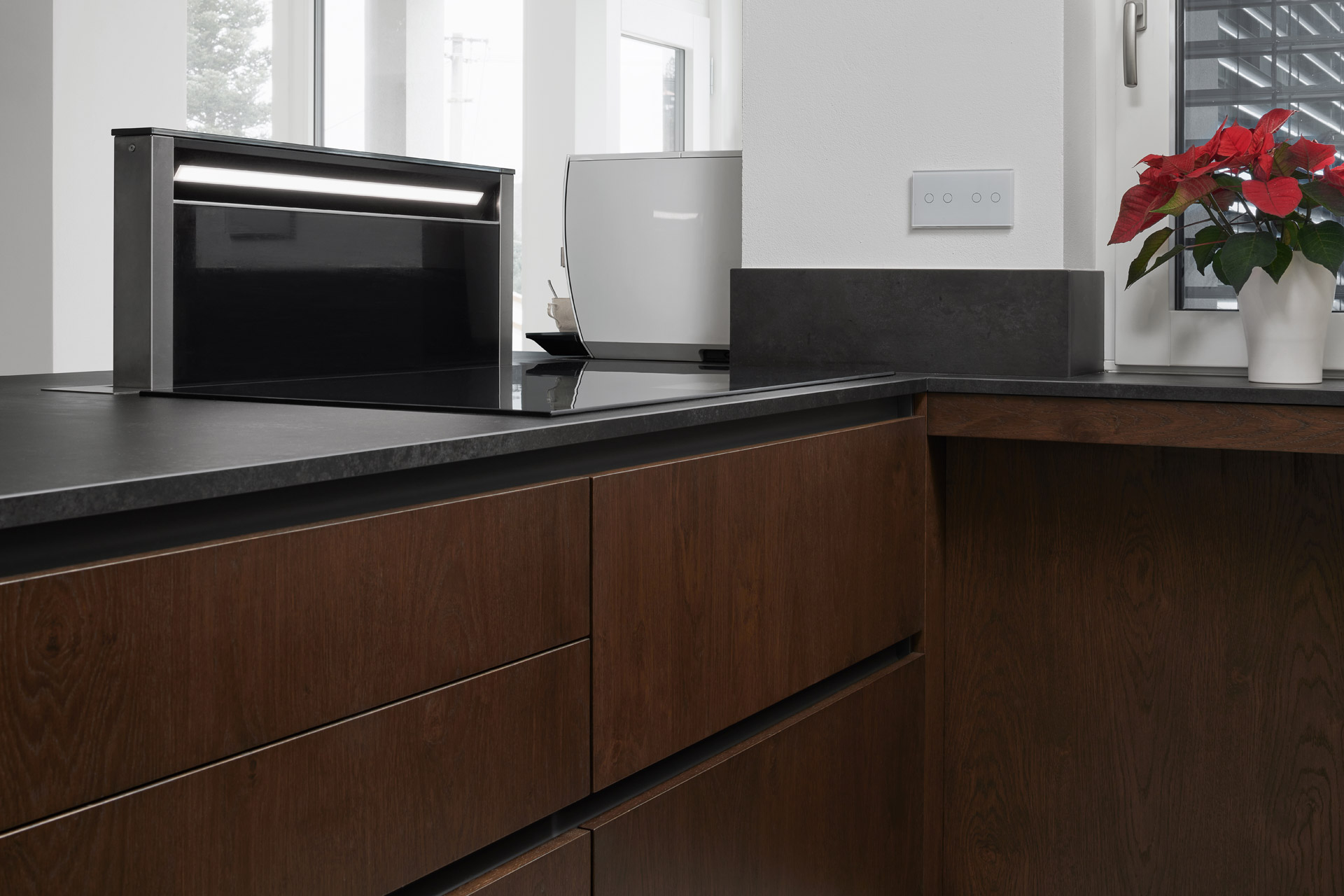 Hanák Furniture Kitchens, veneer and lacquer